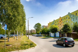 Pielęgnacja zieleni