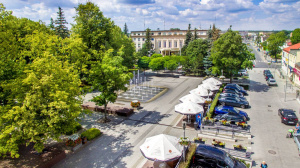 Pielęgnacja zieleni