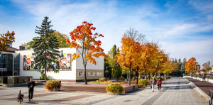 Pielęgnacja zieleni