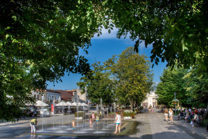 Pielęgnacja zieleni