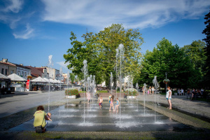 Pielęgnacja zieleni