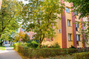 Pielęgnacja zieleni