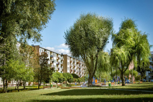 Pielęgnacja zieleni