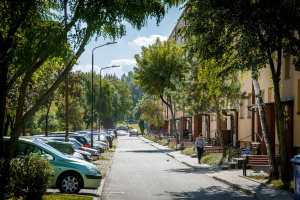 Pielęgnacja zieleni