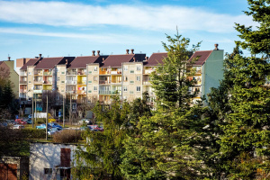 Pielęgnacja zieleni