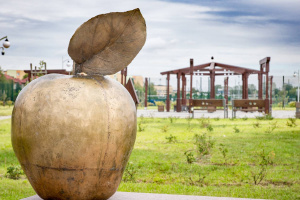 Pielęgnacja zieleni