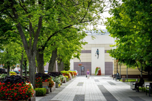 Pielęgnacja zieleni