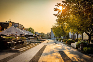 Pielęgnacja zieleni