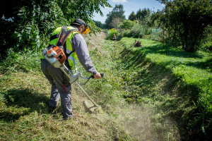 Pielęgnacja zieleni
