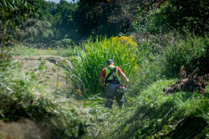 Pielęgnacja zieleni