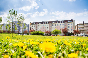 Pielęgnacja zieleni