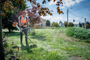 Pielęgnacja zieleni