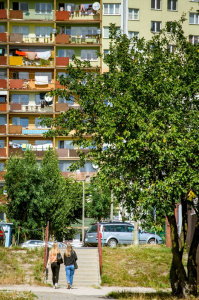 Pielęgnacja zieleni